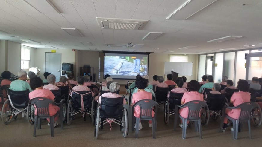 31d2b972ecf54aab54a7e473823aa278_1525251