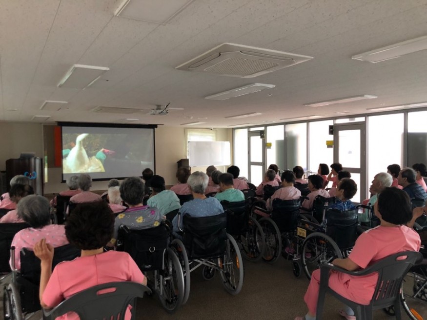 ff89648f0ff63207ea18eff102fd54a2_1527735