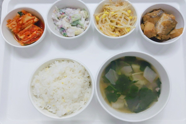 0b17f19c683f89569ccd16b724960d22_1608537